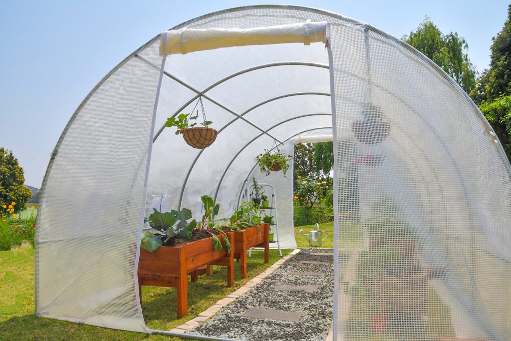 Growology Greenhouse for growing self-sustainable produce at home