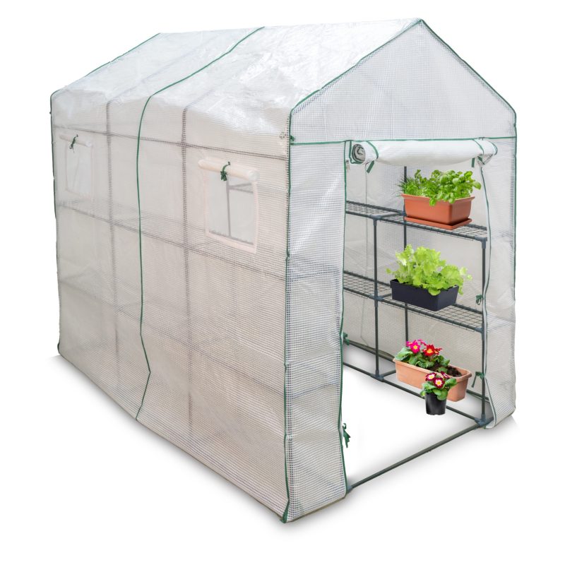 Small Greenhouse with plants